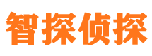 临猗市私家侦探